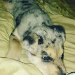 evan huggins - @evan.huggins12 - Instagram