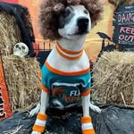 Evan Hurt - @hurt.evan - Instagram