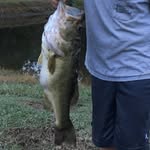 Evanhutton - @et_lures - Instagram