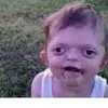 Who likes my pug - @evan.jack - TikTok