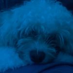 Evan Jorgensen - @evanjorgensen02 - Instagram