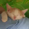 evan_kearns - @user2151540474888 - TikTok