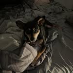 Evan Kelley - @evan.kelley.505 - Instagram