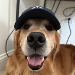 Retrieving Cards - Evan Kendall - @retrievingcards - Instagram