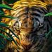 Evandro Kirsch - Facebook