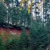 Evan - @evan.klaus - TikTok