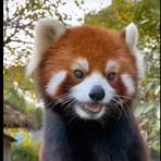 Evan Lam - Facebook