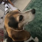 Evan Lampe - Facebook