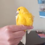Evan Langley - @evan74109 - Instagram