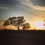 Evan Langley Westerburg - @happilyevanafta - Instagram