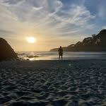 Evan Lawrence - @evanlawrence31 - Instagram