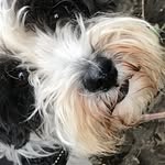 Evan Leak - @thesway5628 - Instagram