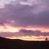 Evan_leeson - @evan_leeson7 - TikTok