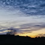 Evan Leeson - @evanleeson_ - Instagram