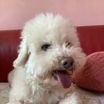 Evan_818 - @evan.leung - Instagram