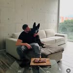 Evan Liberty - @liberty122220 - Instagram