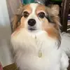 Eva - @evalichtenstein - TikTok