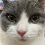 Evan Lin - @evanling8787 - Instagram