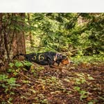 Evan Linton - @linton_evan - Instagram