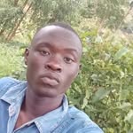 Evans Vlinton - @evansvlinton - Instagram