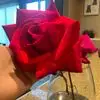 Evangelina Loya - @evangelina.loya - TikTok
