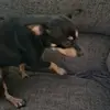 cecekeee - @evan._.lukeee - TikTok