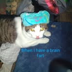 Evan Luke - Facebook
