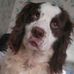 Evan Lyle - Facebook