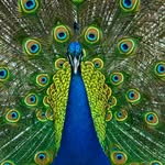 Evan - @evan_lynn14_ - Instagram