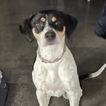 Evan Malone - @evanmalone700 - Instagram