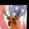 EVAN MANLEYSS TIKTOK ACCOUNT - @evanmanley8 - TikTok