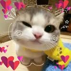 Maple Evans - Facebook