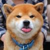 Evan_Mapes - @Evan_Mapes - TikTok