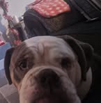 Evan Mason - Facebook