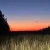 Evan Mathis - @evanmathis79 - TikTok