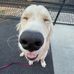 Evan Mayo - Facebook