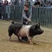 Evan Mayo - Facebook