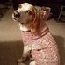 Evan Mayo - Facebook