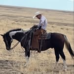 Evan Mayo - @evanmayo4 - Instagram