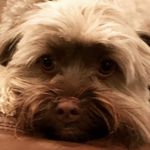 Coolbean1232277 - @evan.mccarty1234 - Instagram