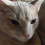 Evan McCarty - @evanlee3579 - Instagram