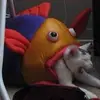 evan.mccoll - @evan.mccoll - TikTok
