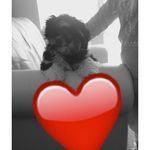 Evan McDonough - @my_name_is_ev_an - Instagram