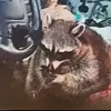 evanmcgowan0 - @evanmcgowan0 - TikTok
