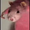 user8255572503041 - @evanmckay57 - TikTok