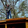 Evan McLemore - @evanmclemore42 - TikTok