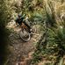 Evan McLeod - Facebook