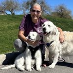 Stacy & Evan McMahon - @talinigoldens - Instagram