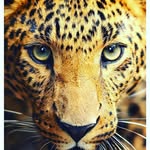 Evan Melendez - @evanmelendez7 - Instagram