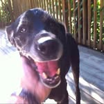 Craig Evan Mendelson - @washee1969 - Instagram